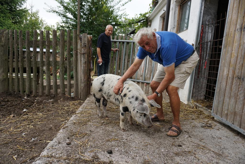 Bio-Bauernhof Rettenbachgut Werfen Exteriér fotografie