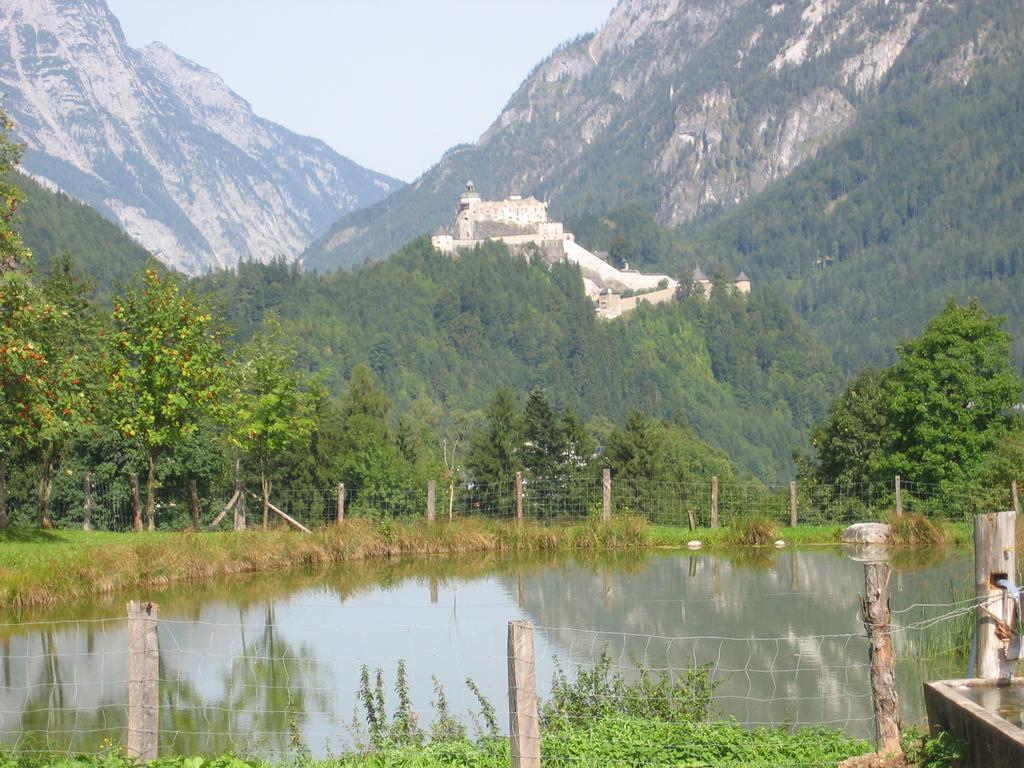 Bio-Bauernhof Rettenbachgut Werfen Exteriér fotografie